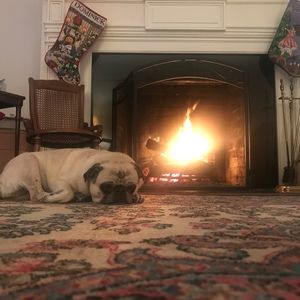 Meet your Posher, Paul